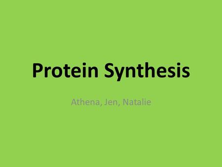 Protein Synthesis Athena, Jen, Natalie. DNA versus RNA DNARNA Contains a 5-C sugar 5-C sugar is deoxyribose5-C sugar is ribose Each nucleotide has 1 of.