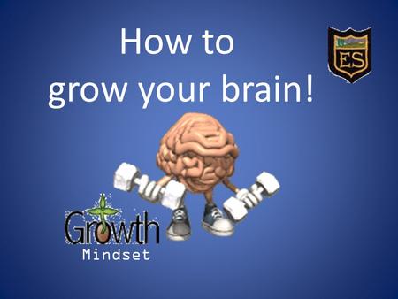 How to grow your brain! Mindset  .