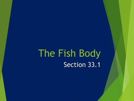 The Fish Body Section 33.1.