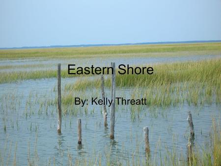 Eastern Shore By: Kelly Threatt.