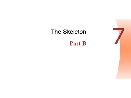 Copyright © 2004 Pearson Education, Inc., publishing as Benjamin Cummings Human Anatomy & Physiology, Sixth Edition Elaine N. Marieb PowerPoint ® Lecture.