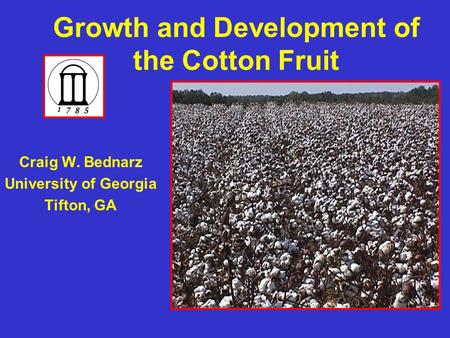 Growth and Development of the Cotton Fruit Craig W. Bednarz University of Georgia Tifton, GA.