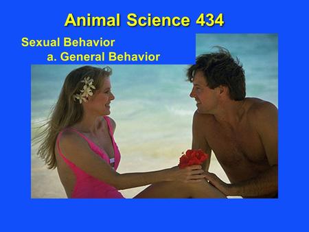 Sexual Behavior a. General Behavior Animal Science 434.