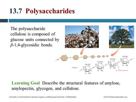 Chemistry: An Introduction to General, Organic, and Biological Chemistry, Twelfth Edition© 2015 Pearson Education, Inc. The polysaccharide cellulose is.