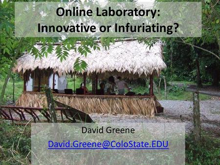 David Greene Online Laboratory: Innovative or Infuriating?