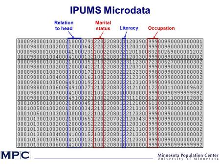 IPUMS Microdata Relation to head Marital status Literacy Occupation.