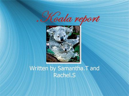 .Koala report Written by Samantha.T and Rachel.S.