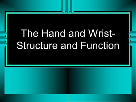 The Hand and Wrist- Structure and Function. The Hand - It’s Role u Prehension - Opposition of the thumb u Effector organ of the upper limb u Very sensitive.