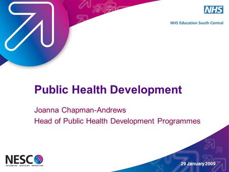 29 January 2009 Public Health Development Joanna Chapman-Andrews Head of Public Health Development Programmes.