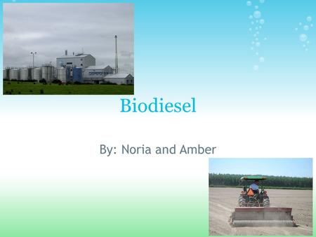 Biodiesel By: Noria and Amber. PROS *Biodiesel is made using oil from plants, such as rapessed (canola), soy beans, and sunflowers. The oil is extracted.