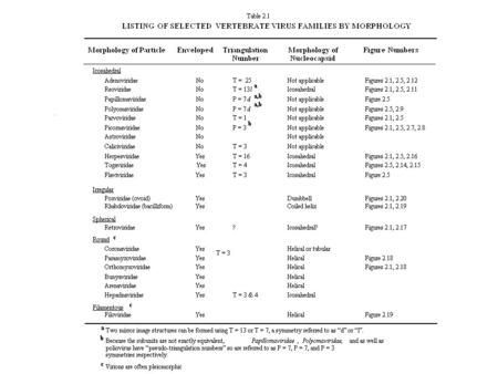 DNA Viruses Selected RNA Viruses Tobacco Mosaic Virus.