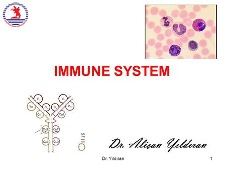 IMMUNE SYSTEM Dr. Yıldıran1. 150 different intracellular signaling pathways Dr. Yıldıran2.