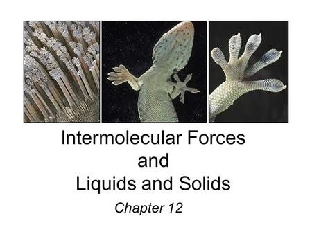 Intermolecular Forces and