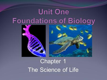 Chapter 1 The Science of Life. Chapter 1: you should be able to… Describe the importance of Biology in society. List and understand the characteristics.