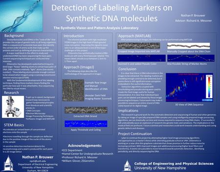 Detection of Labeling Markers on Synthetic DNA molecules Background Deoxyribonucleic acid (DNA) is the “code of life” that provides the recipe of genetic.