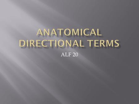 ALF 20.  Description: - Standing - Facing forward - Arms at sides - Palms facing forward - Thumbs pointed out.