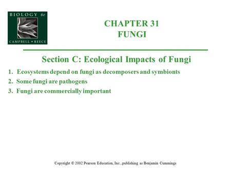 CHAPTER 31 FUNGI Copyright © 2002 Pearson Education, Inc., publishing as Benjamin Cummings Section C: Ecological Impacts of Fungi 1.Ecosystems depend on.