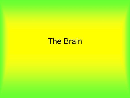 The Brain. Brain Rap How do we see the brain? EEG- electrodes on the brain that record brain waves CT- shows structure of the brain PET- use dye to show.