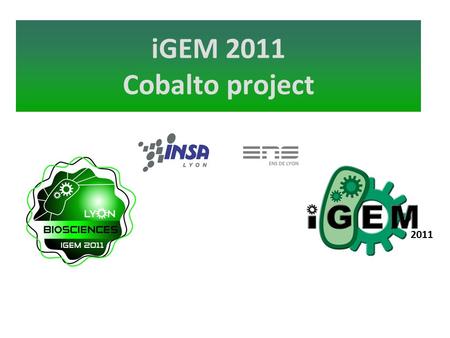 2011 iGEM 2011 Cobalto project. Our Cobalto Project We want to built an Escherichia coli strain Able to accumulate Cobalt, even if it is in low concentration.