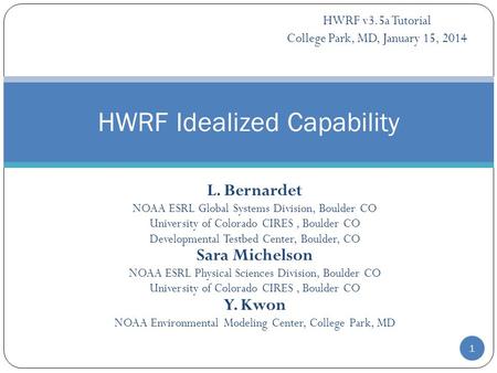 L. Bernardet NOAA ESRL Global Systems Division, Boulder CO University of Colorado CIRES, Boulder CO Developmental Testbed Center, Boulder, CO Sara Michelson.