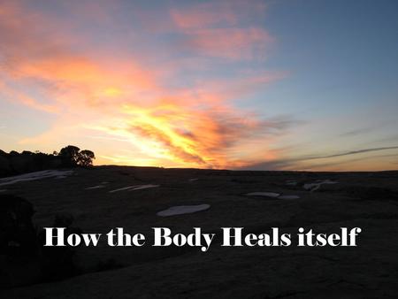 How the Body Heals itself. Human Body Immune System  Thymus  Spleen  Lymph system  Bone marrow  White blood cells  Antibodies  Complement system.