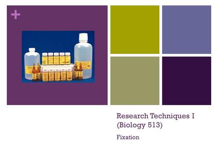 + Research Techniques I (Biology 513) Fixation. + Introduction Why do we fix tissue What makes an ideal fixative? Penetrate rapidly and prevent postmortem.