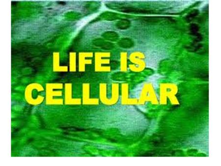 CELL THEORY makes 3 Claims 1. All living organisms are made of 1 or more cells 2. Cells come only from other living cells 3. The cell is the basic.