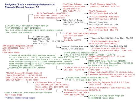 APR SHR Bearpoint’s Shootin Shilo JH AKC# SN924103/01 UKC#R162-217 Born: 03/28/2002 OFA:G24 OFEL: Normal CERF:LR-42350-44 Color: Yellow * * FC AFC Crow.
