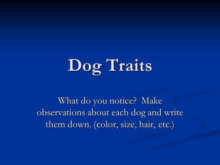 Dog Traits What do you notice? Make observations about each dog and write them down. (color, size, hair, etc.)