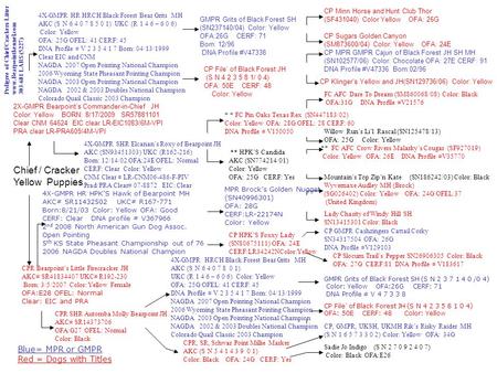 Chief / Cracker Yellow Puppies CPR Bearpoint’s Little Firecracker JH AKC# SR41834407 UKC# R192-230 Born: 3/5/2007 Color: Yellow Female OFA:E28 OFEL: Normal.