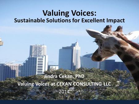 Valuing Voices: Sustainable Solutions for Excellent Impact Jindra Cekan, PhD Valuing Voices at CEKAN CONSULTING LLC 2014.