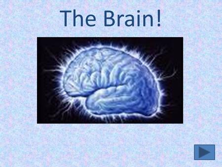 The Brain!. The Brain Facts About the Brain Brain Lobes & Functions How the Brain is Studied How the Brain is Studied Resources Concept Map Author’s Slide.