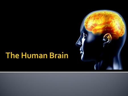  Is protected by the skull and three tough membranes known as meninges  The spaces between the brain and the skull are filled with cerebrospinal fluid,