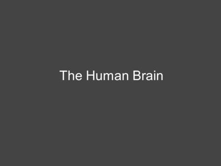 The Human Brain. General Information about the Brain Two types of cells o gray - unmylinated o white - mylinated Dura matter - surrounds the brain and.