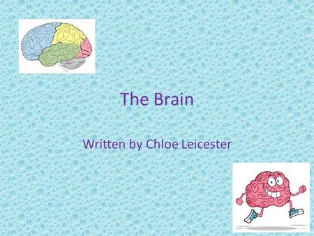 The Brain Written by Chloe Leicester. Cerebrum The Cerebrum is the biggest part of your brain. The cerebrum makes up 85% of your brain weight. The cerebrum.