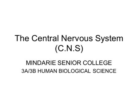 The Central Nervous System (C.N.S) MINDARIE SENIOR COLLEGE 3A/3B HUMAN BIOLOGICAL SCIENCE.