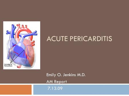 Emily O. Jenkins M.D. AM Report