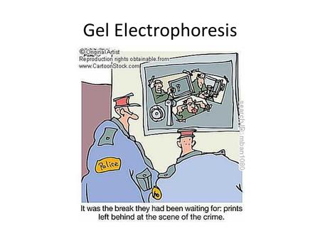 Gel Electrophoresis. Definition – COPY ME! Separation of DNA fragments according to size and charge Based on movement through a gel medium when an.