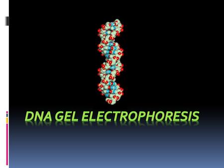 Polymerase Chain Reaction (DNA Polymerase – duplicates DNA when cells divide) DNA copying machine – creates the compliment strand (ATCG-TAGC)