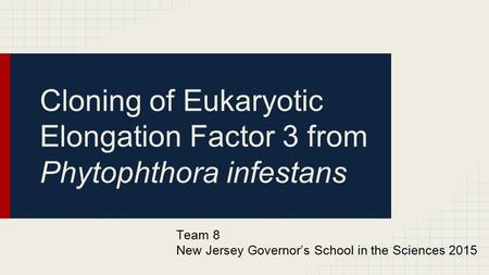 Cloning of Eukaryotic Elongation Factor 3 from Phytophthora infestans