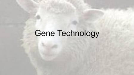 Gene Technology. Honors Breaking Down the Definitions 1.Polymerase chain reaction 2.Primer 3.Restriction enzyme 4.Gel electrophoresis 5.DNA fingerprint.