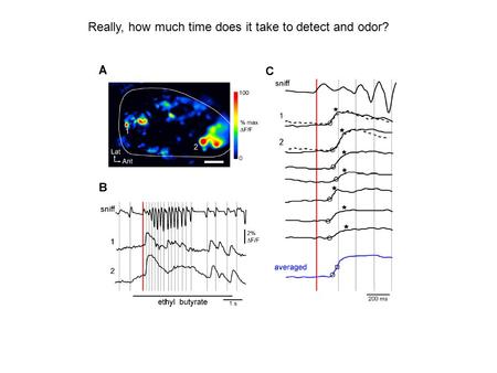 Really, how much time does it take to detect and odor?