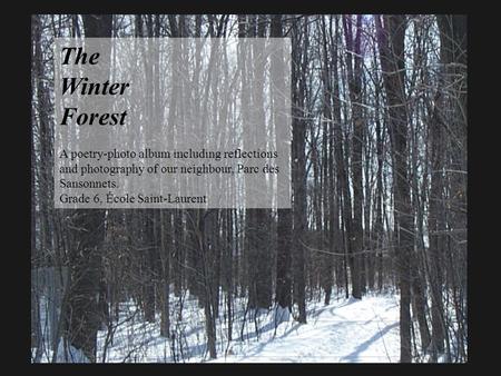 The Winter Forest A poetry-photo album including reflections and photography of our neighbour, Parc des Sansonnets. Grade 6, École Saint-Laurent.