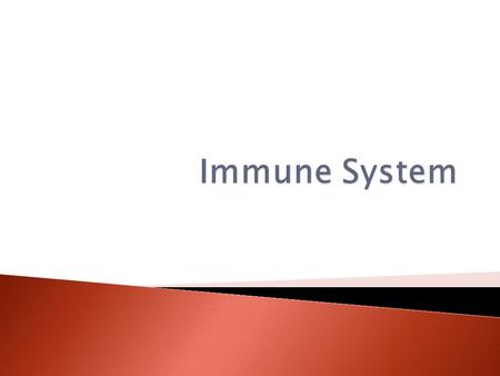  Viruses: Tiny particles that invade & replicate within living cells.  Bacteria: Cause disease by either breaking down the tissues of the infected organism.