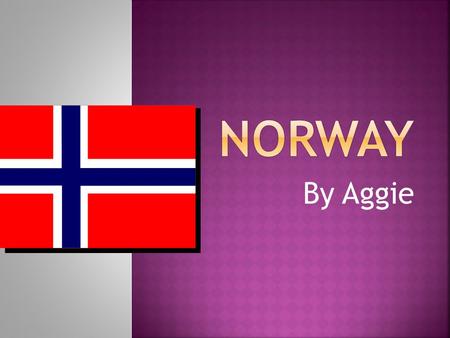 By Aggie.  The three countries touching Norway are :  Russia  Finland  Sweden.