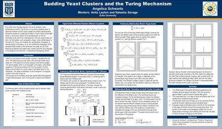 TEMPLATE DESIGN © 2008 www.PosterPresentations.com One adjustment made on these models versus the simpler model is the difference of the diffusion part.