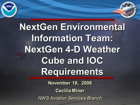 November 18, 2008 Cecilia Miner NWS Aviation Services Branch