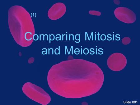 Comparing Mitosis and Meiosis