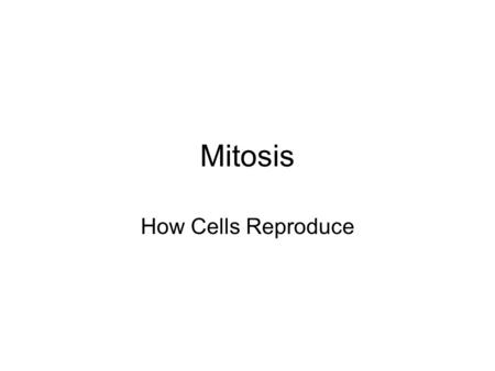 Mitosis How Cells Reproduce.