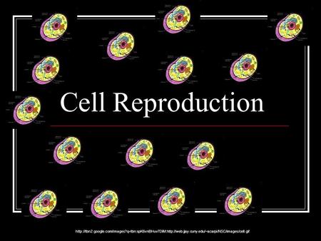 Cell Reproduction